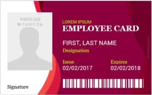 MS Word as Employee Badge Maker | Microsoft Word ID Card Templates