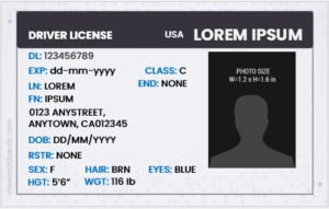 Driver License ID Card Templates for Word | Edit & print