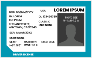 Fake Driver License Card Template