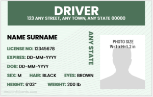 Fake Driver License ID Card