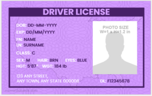 Fake Driver license id card