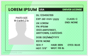 Fake Driver license id card